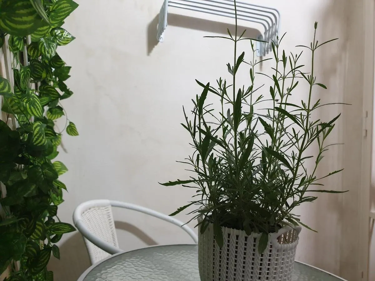 La Petite Maison Apartment Syracuse